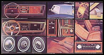 1980 Buick Riviera Deluxe Brochure, MINT  