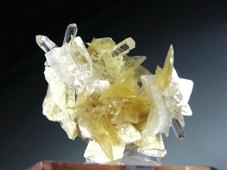 Top Shelf Gem Minerals Scepter Quartz Mixed Minerals Rare Quartz Forms