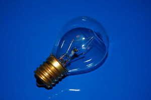 S11 E17 Intermediate Base (25W 130V) Clear Bulb  