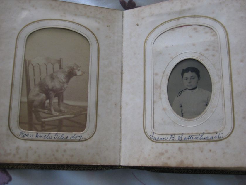 Album William Satterthwaite, Tacey Satterthwaite family   Bucks Co, PA 