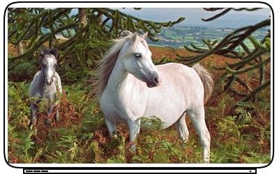 White Horses Laptop Netbook Skin Decal Cover Sticker  