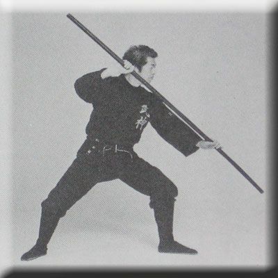 Hatsumi Japanese Bojutsu Bujinkan Stick Fight Sword m  