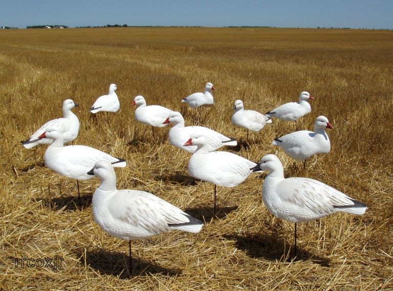   GREENHEAD GEAR T&T 5/8 SNOW GOOSE ACTIV DECOYS 700905710676  