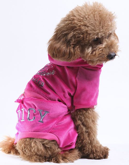 Dog PINK Hoodie J Velour Jacket Coat Jumpsuit Any Size  