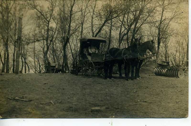 RPPC HORSE DRAWN BUGGY KIMBALLTON ELK HORN IOWA FARMING  