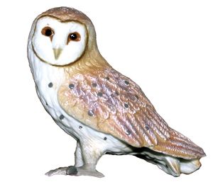 NEW* CollectA 88003 Barn Owl Bird Replica Model 4cm  