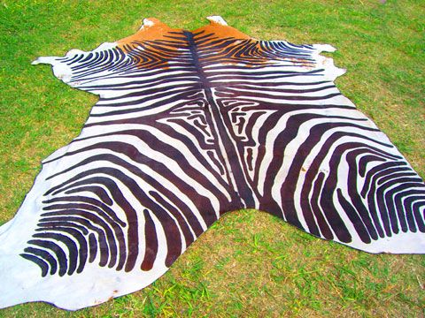 ZEBRA Print/Printed COWHIDE SKIN Rug steer COW HIDE dc2079  