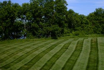   Toro 400 Commercial Z Master with the Turbo Force mower ? Here it