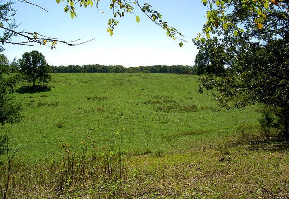 View to West From West Fence line