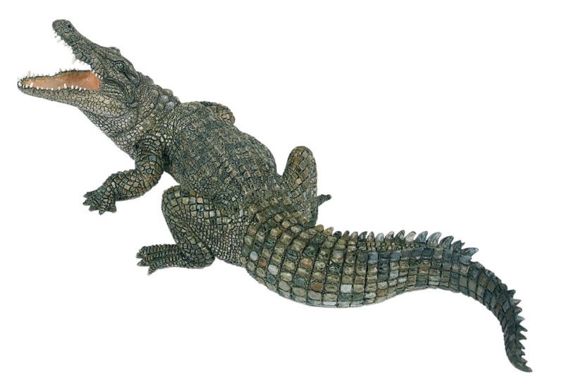 NILE CROCODILE Wild Animals PAPO 50055  