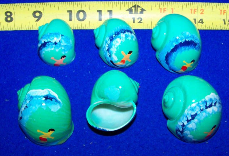 HERMIT CRAB TURBO PAINTED SURFER SEA SCENE SHELLS WOW  